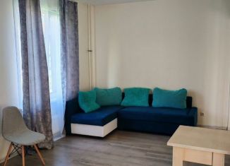 Сдается двухкомнатная квартира, 64 м2, Новосибирская область, улица Ясный Берег, 25