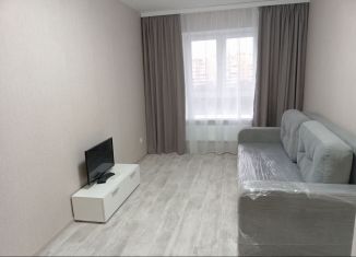 Сдам однокомнатную квартиру, 26 м2, Саратов, Южно-Зелёная улица, 1