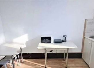 Аренда 1-комнатной квартиры, 45 м2, Новосибирская область, улица Аэропорт, 5