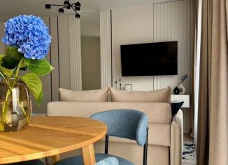 Сдаю в аренду квартиру студию, 33 м2, Москва, Иловайская улица, 2