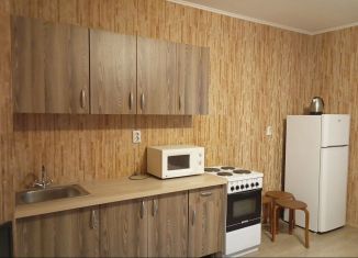 Квартира в аренду студия, 25 м2, Мурино, проспект Авиаторов Балтики, 9к3