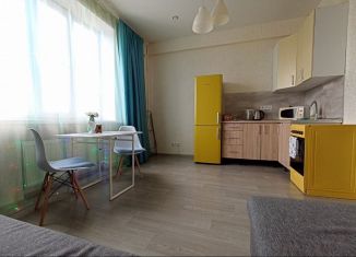 Сдам квартиру студию, 28 м2, Татарстан, улица Нурсултана Назарбаева, 35к1