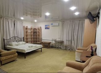 Сдам в аренду квартиру студию, 44 м2, Ростовская область, улица Лизы Чайкиной, 64-1