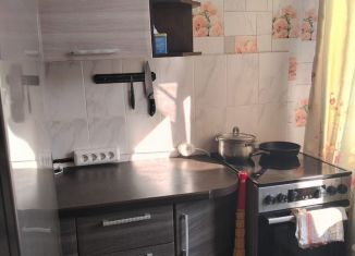 1-комнатная квартира в аренду, 29.8 м2, Новосибирская область, микрорайон Южный, 39