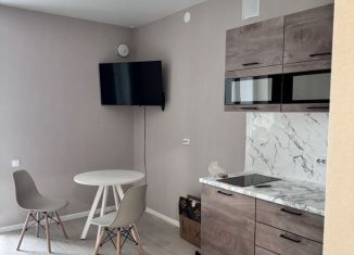 Сдаю квартиру студию, 30 м2, Набережные Челны, улица Раскольникова, 5В