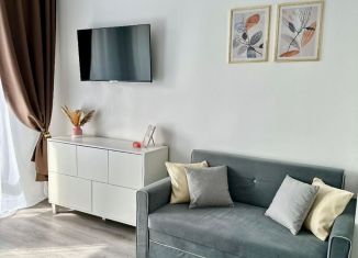 Квартира в аренду студия, 24 м2, Санкт-Петербург, проспект Ветеранов, 198, метро Юго-Западная