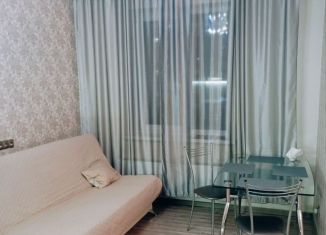 Сдается однокомнатная квартира, 50 м2, Екатеринбург, улица Готвальда, 14А