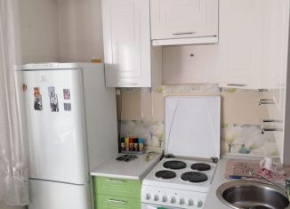 Сдается в аренду однокомнатная квартира, 29 м2, Новосибирск, улица Красный Факел, 10