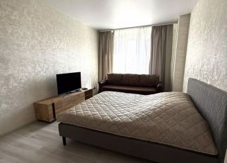 Сдача в аренду 1-ком. квартиры, 40 м2, Ростов-на-Дону, улица Ларина, 45с2, Ворошиловский район