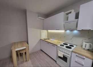 Сдам в аренду квартиру студию, 25 м2, Ростов-на-Дону, улица Юрия Дубинина, 9, Октябрьский район