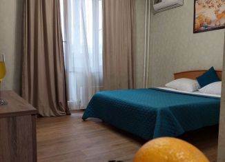 Сдается квартира студия, 28 м2, Ростов-на-Дону, улица Ерёменко, 96/1