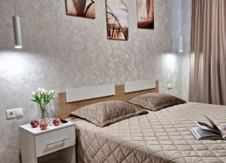 Сдается в аренду 1-ком. квартира, 46 м2, Ростов-на-Дону, Стабильная улица, 3с2