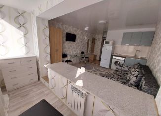 Сдам квартиру студию, 20 м2, Тюмень, Олимпийская улица, 34, Восточный округ