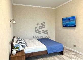 Сдается квартира студия, 36 м2, Татарстан, улица Короленко, 28Б