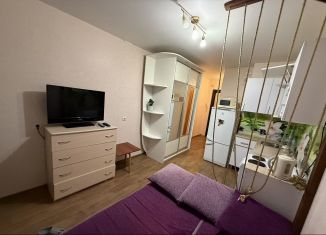 Сдаю квартиру студию, 20 м2, Татарстан, Спортивная улица, 2