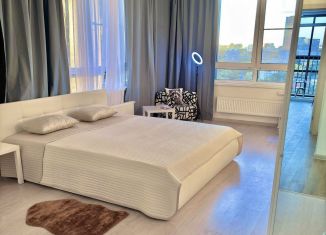 Сдача в аренду 1-комнатной квартиры, 48 м2, Москва, Электролитный проезд, 7А/1