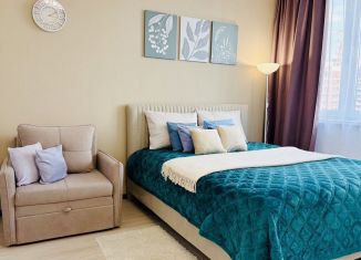 Сдается квартира студия, 29 м2, Екатеринбург, улица Академика Ландау, 32