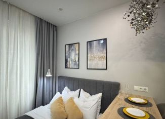 Сдается квартира студия, 18 м2, Москва, Амурская улица