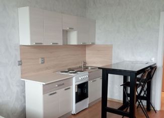 Сдается в аренду квартира студия, 25.5 м2, Мурино, Охтинская аллея, 14