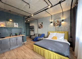 Сдается в аренду квартира студия, 32 м2, Ростов-на-Дону, улица Мечникова, 41/53