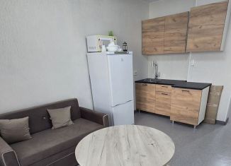 Сдаю в аренду квартиру студию, 19 м2, Новосибирская область, улица Виктора Уса, 13