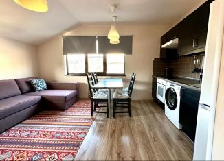 Сдача в аренду двухкомнатной квартиры, 35 м2, Сочи, Олимпийская улица, 125