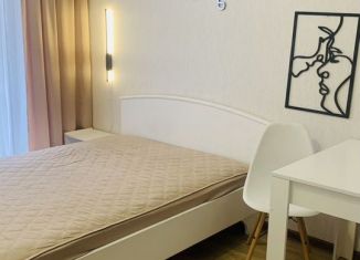 Сдача в аренду квартиры студии, 23 м2, Пермь, Буксирная улица, 10