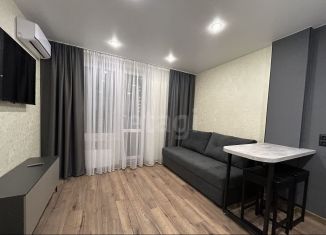 Сдам в аренду однокомнатную квартиру, 36 м2, Тюмень, улица Валентины Трофимовой, 6, ЖК Пятый квартал