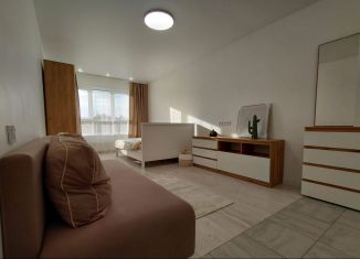 Сдается однокомнатная квартира, 39.7 м2, Новосибирская область, улица Сибиряков-Гвардейцев, 53/9