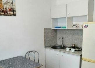 Аренда квартиры студии, 20 м2, Новосибирская область, улица Добролюбова, 231