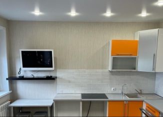 Сдам квартиру студию, 33 м2, Новосибирск, улица Кирова, 242, метро Речной вокзал