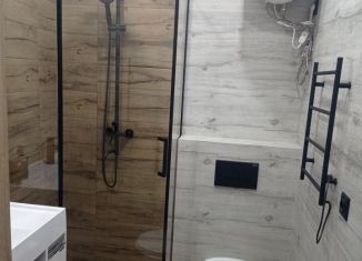 1-комнатная квартира в аренду, 28 м2, Новосибирская область, Фабричная улица, 65/4