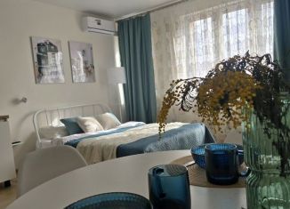 Сдается квартира студия, 27 м2, Нижний Новгород, проспект Героев Донбасса