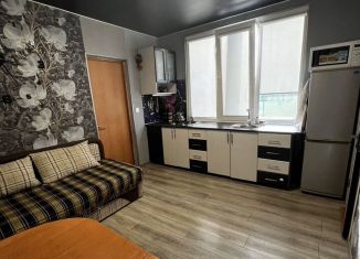 Сдача в аренду 1-комнатной квартиры, 28 м2, Сочи, улица Куйбышева, 31А