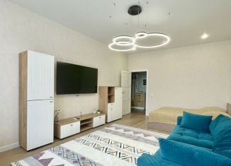 Сдается в аренду 1-ком. квартира, 50 м2, Новомосковск, Рязанское шоссе, 10к3