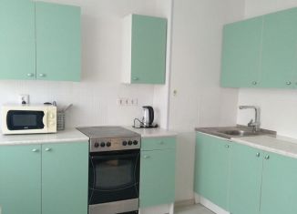 Сдам 1-комнатную квартиру, 45 м2, Санкт-Петербург, проспект Просвещения, 99, метро Гражданский проспект