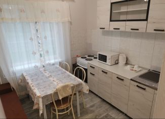 Сдам в аренду однокомнатную квартиру, 32.6 м2, Тюмень, улица Николая Фёдорова, 1, Восточный округ