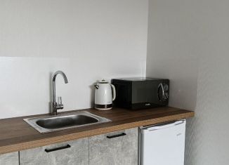 Сдача в аренду 1-ком. квартиры, 35 м2, Челябинская область, Кременкульская улица, 15