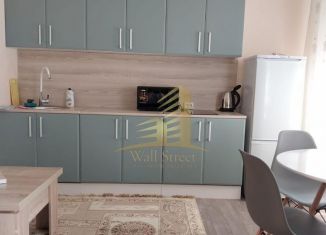 Сдается в аренду квартира студия, 25.9 м2, Новосибирская область, улица Юности, 5