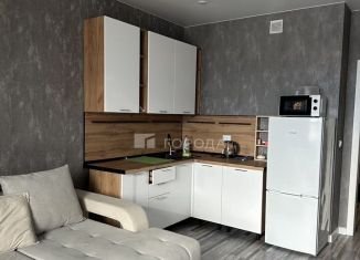 Сдается квартира студия, 27.2 м2, Новосибирск, Светлановская улица, 52/2, метро Заельцовская