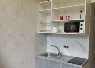 Сдается 1-комнатная квартира, 25 м2, Москва, Сенежская улица, 3