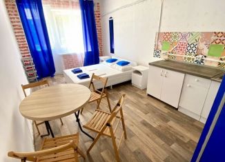 Сдается в аренду 1-ком. квартира, 42 м2, Сочи, Огородный переулок, 11/9