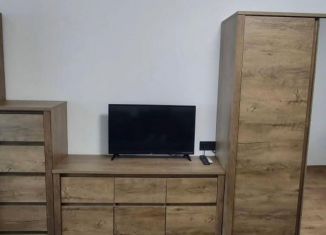 Сдается в аренду квартира студия, 30.5 м2, Новосибирск, Гурьевская улица, 31, метро Речной вокзал