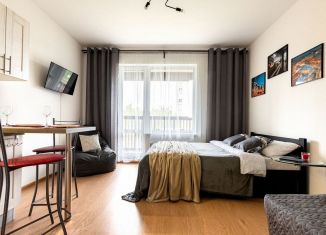 Сдаю квартиру студию, 30 м2, Санкт-Петербург, 5-й Предпортовый проезд, 2, Московский район