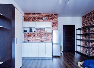 Сдается в аренду квартира студия, 24 м2, Мурино, улица Шувалова, 23, ЖК Гринландия-2