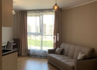 Сдается в аренду квартира студия, 26 м2, посёлок Парголово, Толубеевский проезд, 8к2