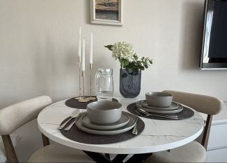 Сдача в аренду квартиры студии, 25 м2, Санкт-Петербург, улица Маршала Казакова, 21к2, Красносельский район