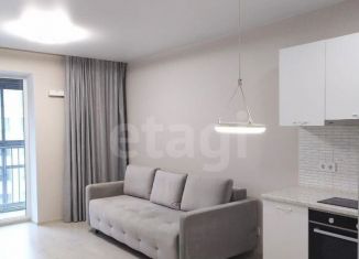 Квартира в аренду студия, 26.7 м2, Пермь, улица Фридриха Энгельса, 18