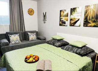 Сдам в аренду квартиру студию, 27 м2, Ростов-на-Дону, улица 15-я Линия, 8