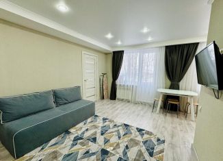 Сдается в аренду двухкомнатная квартира, 36.8 м2, Саратов, Ново-Астраханское шоссе, 43